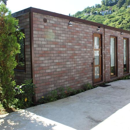 Modular House Green Zyland Y Batumi Exterior photo